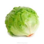 048-Capuchi-lettuce