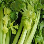 053-French-celery