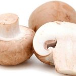 063-Mushroom-001