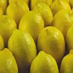 065-Lemon-Adalia-001