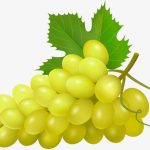 088-Grapes-yellow-002