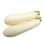 098-white-eggplant-local